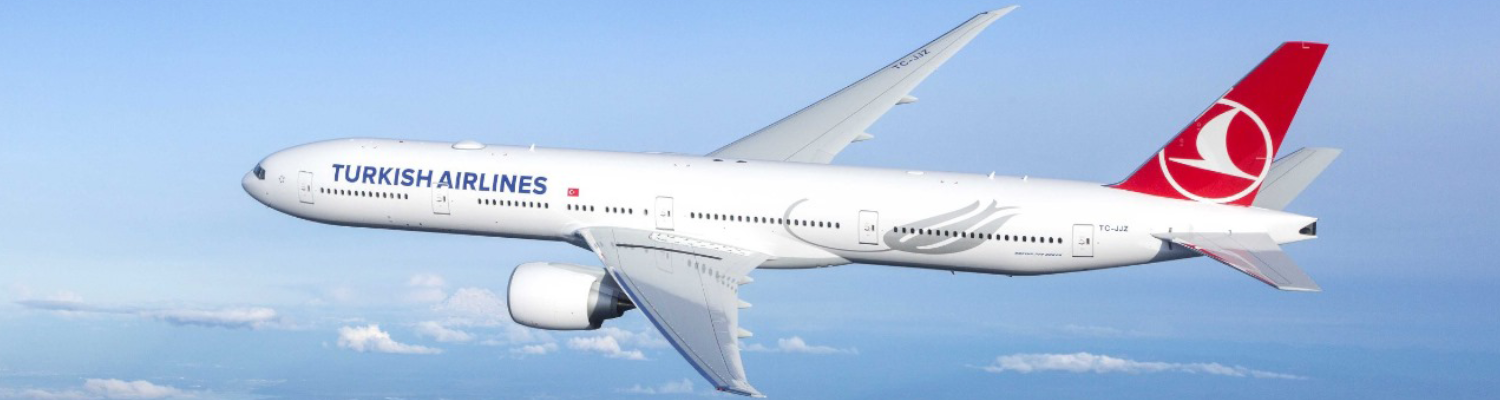 Avion Travels
