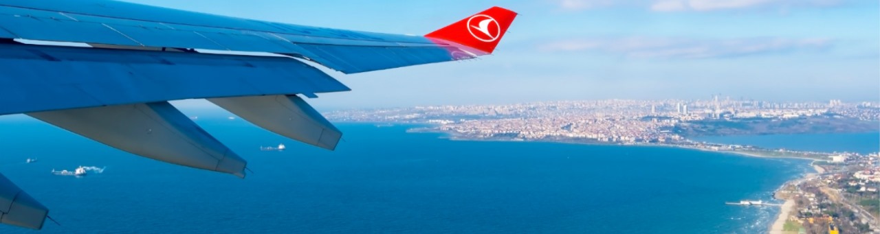 Avion Travels